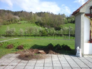 Zasaditvena dela na pokopališču v Dolnji Košani